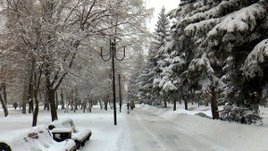 А. Северный. Снег на улице идёт давно.