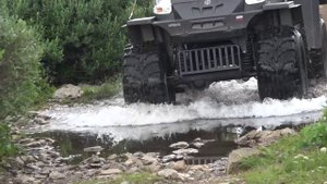 ИРБИС красота в свободе, движение в комфорте