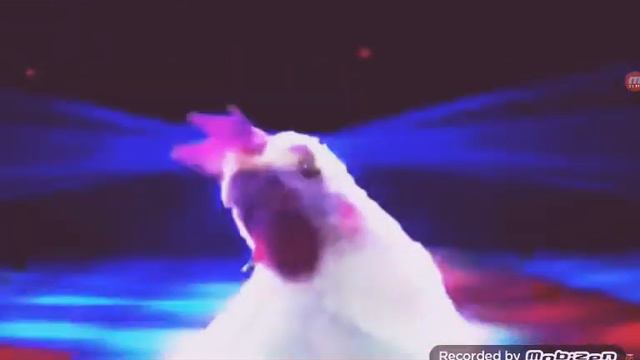 Техно курицы какие они......крутая песня 2016