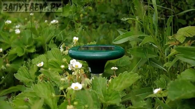 Отпугиватель кротов "ГРОМ ПРОФИ LED+" смотреть онлайн