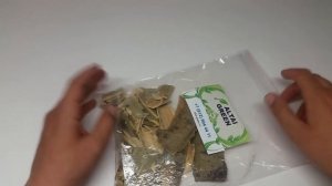 Осина кора в чем польза коры осины?