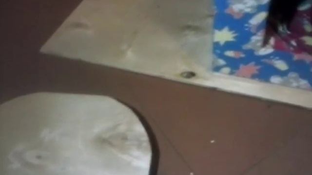 Красивый кошкин дом смотреть онлайн