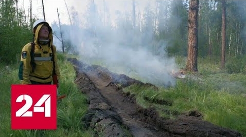 Площадь лесных пожаров в России продолжает расти - Россия 24 