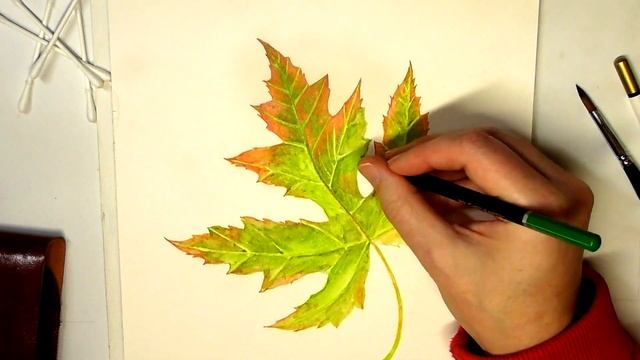 Castle Art Watercolor Pencil Speed Drawing Of Autumn Leaf смотреть онлайн