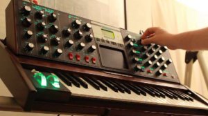 Moog Voyager :: Step Sequenced