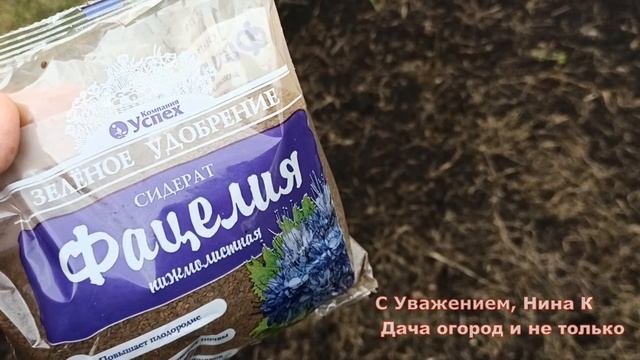 ЛЮБАЯ ПЛОТНАЯ ПОЧВА БУДЕТ КАК ПУХ! ПРОВОЛОЧНИК УЙДЕТ С ОГОРОДА!Сею сидерат фацелия под зиму и весной