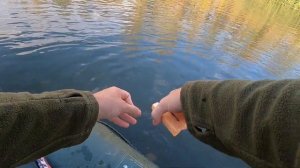 Рыбалка на перемёт (часть 2)