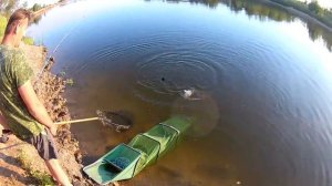 Ловля сазана на бойлы Самодельные чесночные бойлы и кукурузу с медом