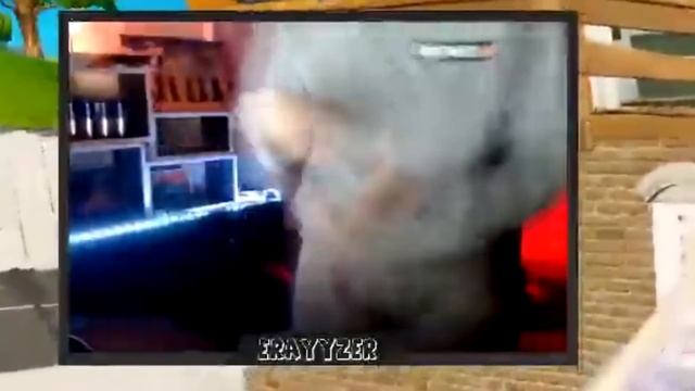 Streamers breaking their setup for 8 minutes straight...pt2