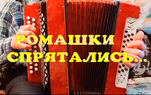 Ромашки спрятались - на гармони
