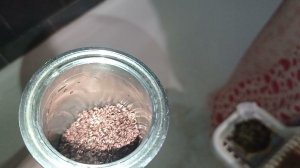 21 ноября 2021 г.