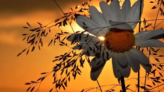 Любовь и Разлука ,всегда ходят рядом.Стихи о Любви. смотреть онлайн