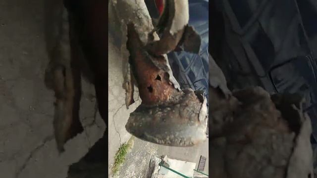 Nissan Almera Tino и заливная горловина. Приезжайте - вылечим. смотреть онлайн