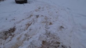 CHEVROLET NIVA на NOKIAN NORDMAN*