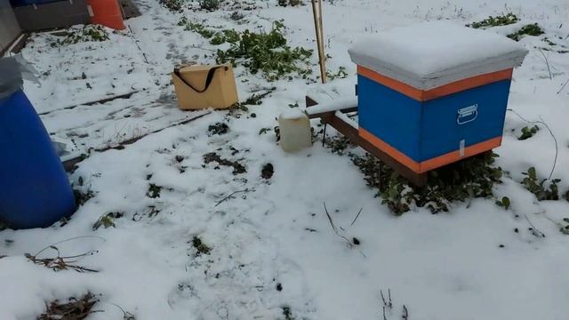 Финишная подготовка пчёл к зимовке 2020 смотреть онлайн
