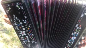 Гармонь тональности фа диез