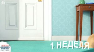 Тайная жизнь домашних животных