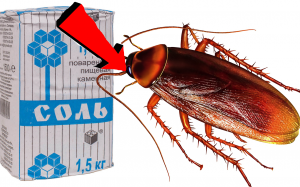 Как избавиться от тараканов За 3 Секунды!