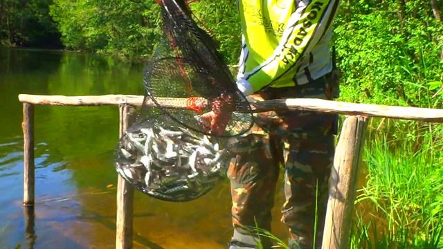 Результаты уклеечной рыбалки смотреть онлайн