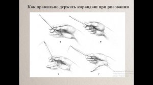 Линейный портрет  6 класс