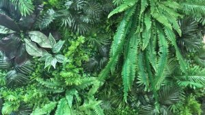 Фитостена из искусственных растений, 300*200см