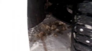 Причина вибрации на кузове. TOYOTA Probox.