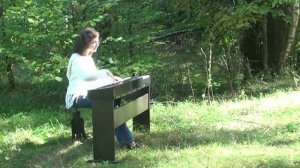 0. Самоучитель игры на пианино (фортепиано) - вводный урок.mp4