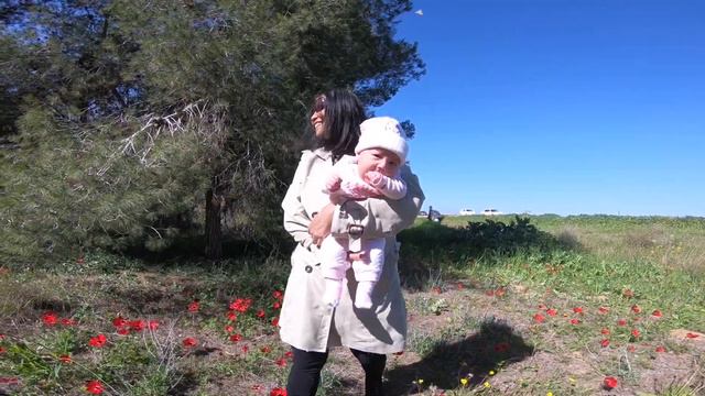 דרום אדום 2019 - Даром Адом - Красный Юг смотреть онлайн