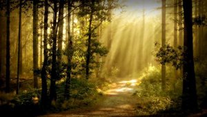 Велеслава - "Душа"