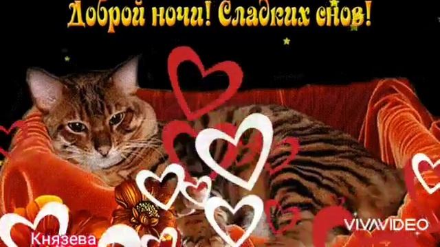 Спокойной Ночки! ?Сладких Снов! ?Доброй Ночи!?