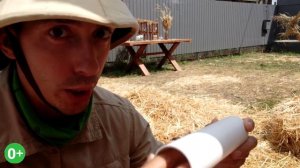 Чем занять собаку дома? Нюхательные игры для собак