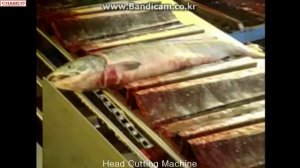 Головоруб для красной рыбы