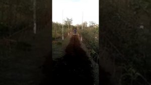 Работа мотоблоком Енисей ТСР-820EN