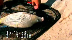 Первый выезд на Кулешовский пруд.