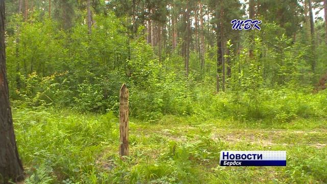 Лес рубят - щепки летят смотреть онлайн