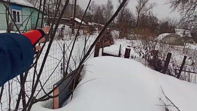 Алыча, весенняя обрезка. Тонкости и нюансы при обрезке. смотреть онлайн