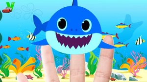 Baby Shark Finger Where Are You? | Finger Family Song | Kids Song & Nursery Rhymes