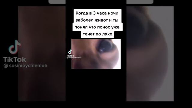 Когда в 3 часа ночи заболел живот и ты понял что понос уже течёт по лёхе