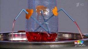 Чем заняться с ребенком. Учимся играя. Жить здорово! Фрагмент выпуска от 20.01.2017