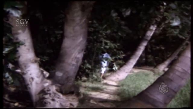 Sharanadeno Shree Padake Song | Manikantana Mahime Kannada Movie | Vishnuvardhan | SPB смотреть онлайн