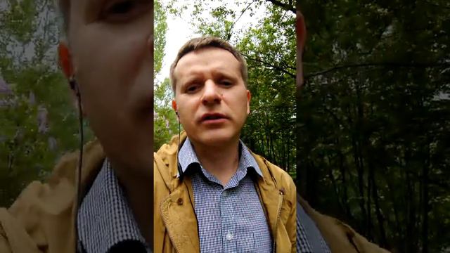 Взыскание убытков с директора, Добросовестность и разумность действий - Юридические рассказы №6