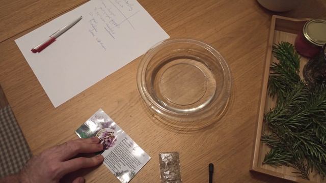 Получил семена павловнии - Санкт-Петербург смотреть онлайн