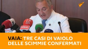 Vaia: tre casi di vaiolo delle scimmie confermati