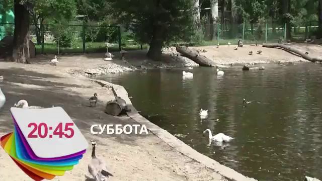 Репортер представляет (24.06.2017 г.) смотреть онлайн