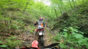 100% ENDURO silver  Hasky F7 182mm