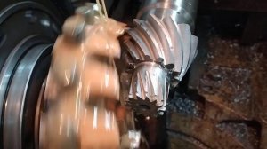 Круговой зуб.