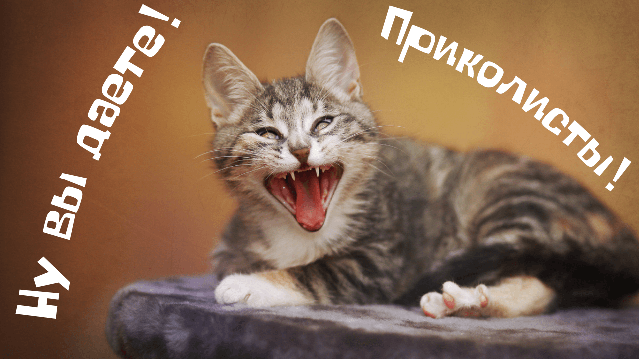 Ну вы даете! Приколисты!