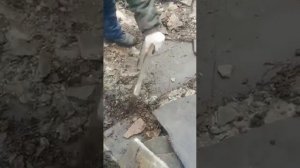 Карьер природного камня. Открытый способ добычи пластушки. Телефон: +7(928) 903-77-76 Руслан