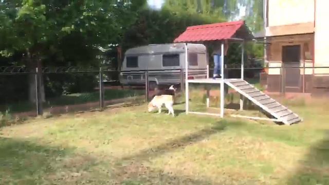 Хал и Гюль обживаются в новом доме смотреть онлайн