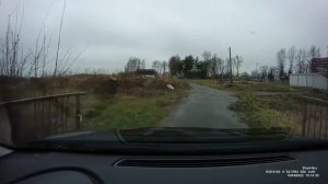 Зарыбление пруда